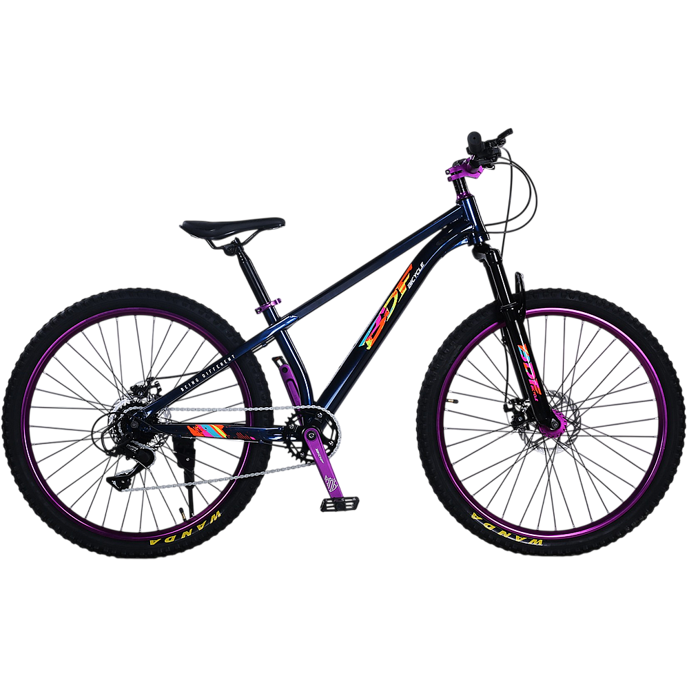 Bicicletă de oraș RDB BDF-TPC, roți de 26 inch [4]