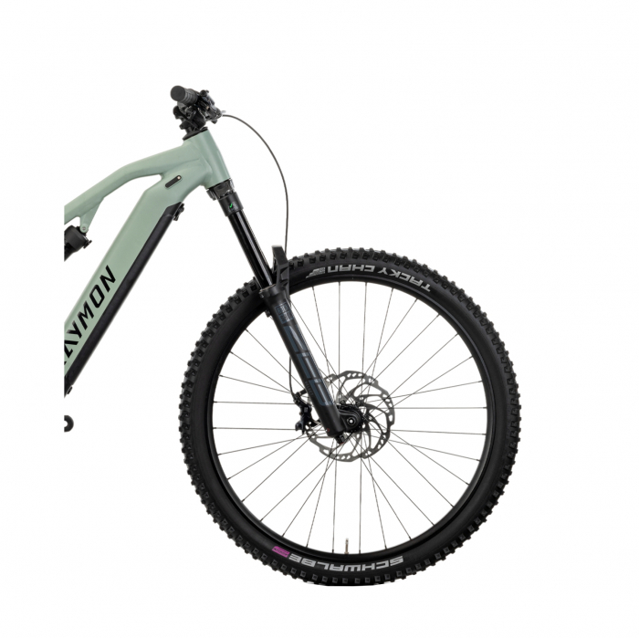 Bicicleta Electrica Raymon Full Suspension Trailray 150 Pro 2025 - 29 Inch, M, Verde - SLX [5]