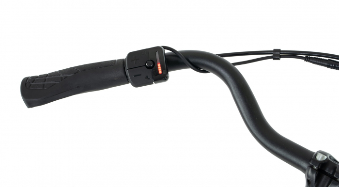 Bicicleta Electrica Stella Livorno Dama FDST RTE 2.1 - 28 Inch, L, Albastru [4]