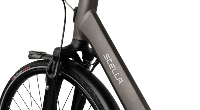 Bicicleta Electrica Stella Livorno Dama FDST RTE 2.1 - 28 Inch, L, Gri [5]