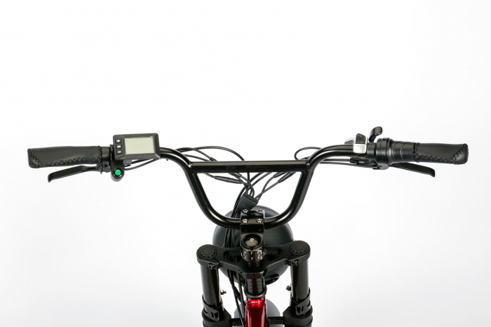 Bicicleta electrica Ztech ZT-86-A LEGACY A autonomie 45 km viteza maxima 25 km/h putere 250W acumulator 13Ah/48V nu necesita permis [3]