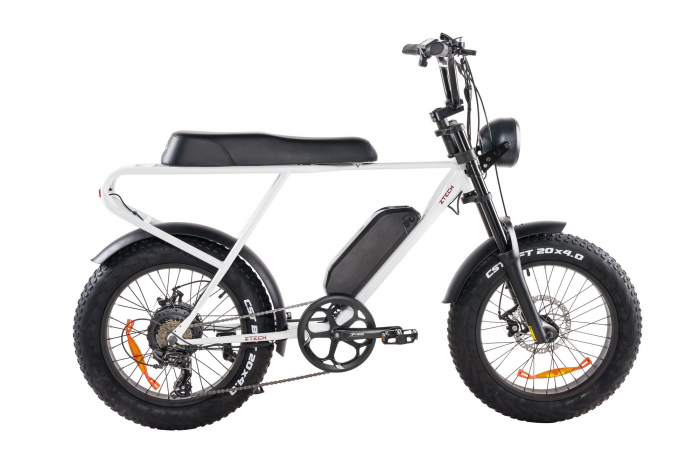 Bicicleta electrica Ztech ZT-86-A LEGACY A autonomie 45 km viteza maxima 25 km/h putere 250W acumulator 13Ah/48V nu necesita permis [6]