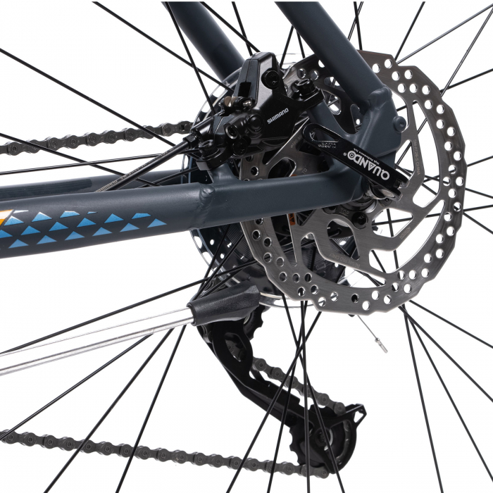 Bicicleta Mtb Afisport M5 - 29 Inch, L, Gri [4]