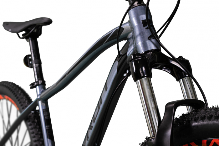 Bicicleta Mtb Devron Riddle 2023 RM1.9 - 29 Inch, M, Gri [4]