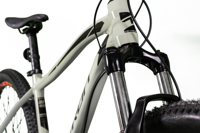 Bicicleta Mtb Devron Riddle 2023 RM2.9 - 29 Inch, L, Gri [3]