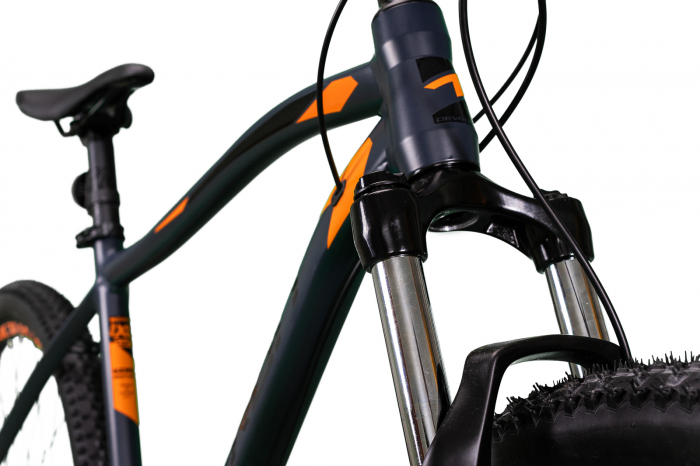 Bicicleta Mtb Devron Riddle 2023 RM2.9 - 29 Inch, M, Gri [4]