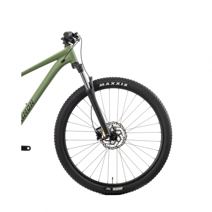 Bicicleta Mtb Raymon Nayta Pro 2025 - 29 Inch, L, Verde [5]