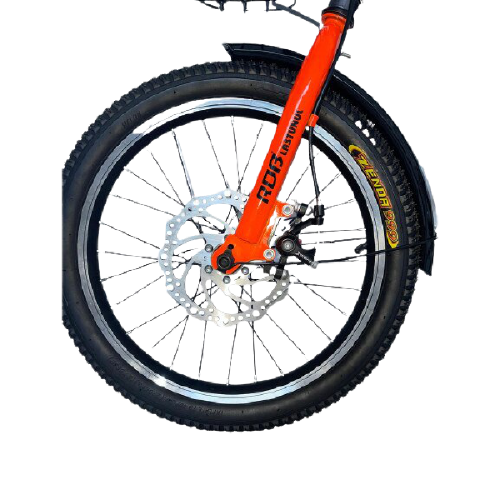 Bicicletă pentru copii RDB Lăstunul 12 inch [16]