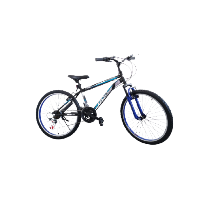 Bicicletă pentru copii RDB Tiger, 24 inch, Suspensie față, Oțel [9]