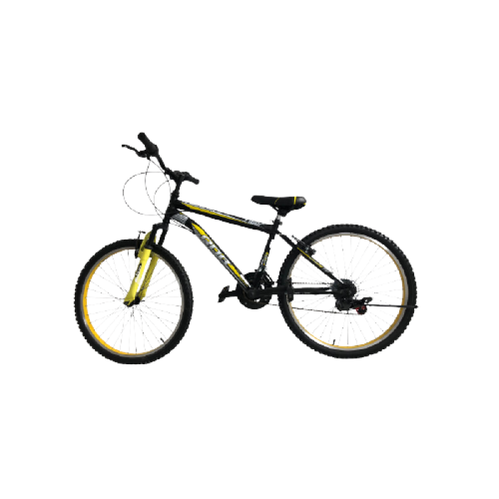 Bicicletă pentru copii RDB Tiger, 24 inch, Suspensie față, Oțel [10]