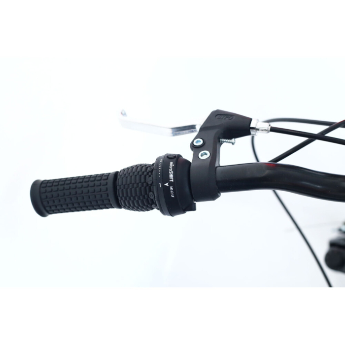 Bicicletă pentru copii RDB Tiger, 24 inch, Suspensie față, Oțel [12]