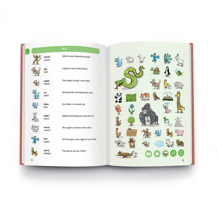 Carte Raspundel - Dictionar Englez-Roman [2]