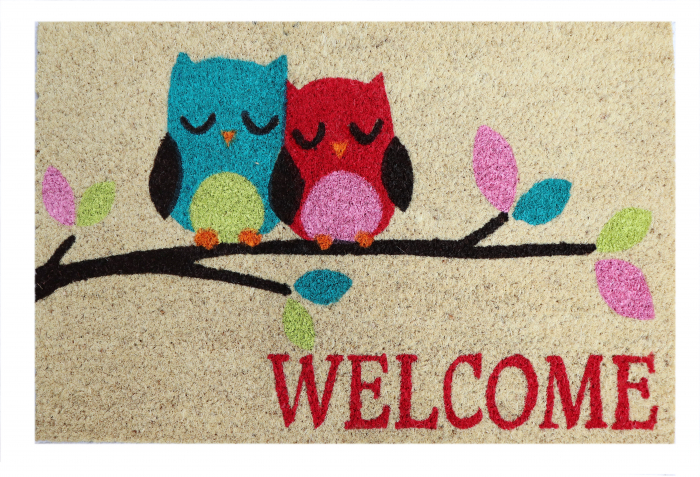 Covoras intrare Koko design Bufnita, 40x60 cm [1]