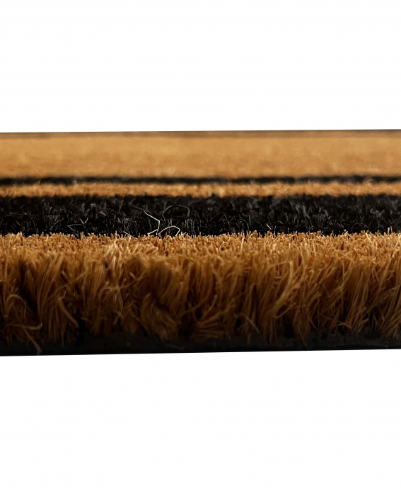 Covoras intrare, negru, 33x60 cm [4]