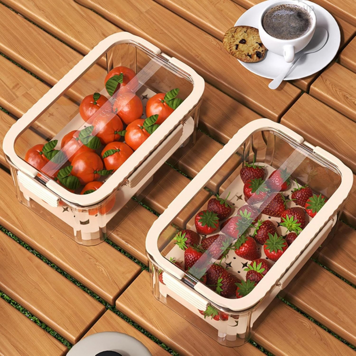 Cutie pentru Depozitare Alimente, Flippy, de Uz Casnic, 2 Compartimente, Zona pentru Gheata, Mentinere Fresh, cu Maner, Material PET, 23x15x10.8 cm, Bej [3]