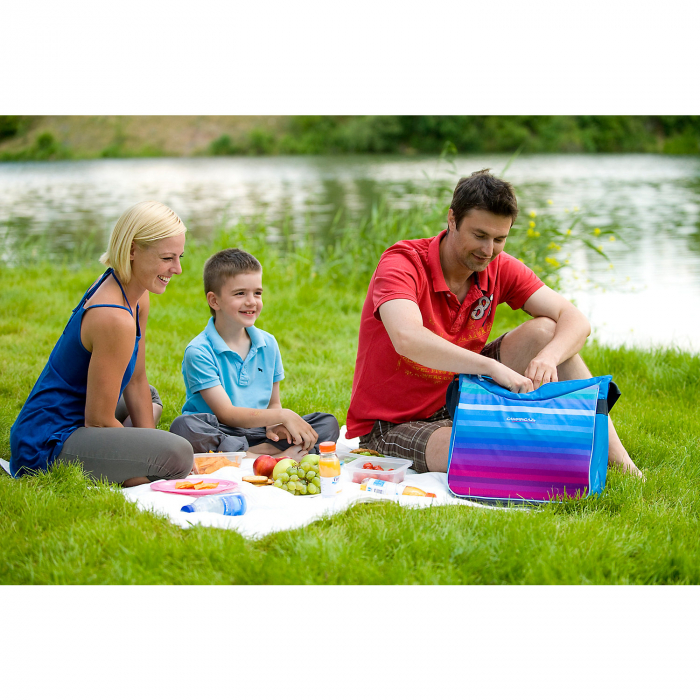Geanta Frigo Luna 12L Arctic, multicolor, 48x33x5 cm [2]