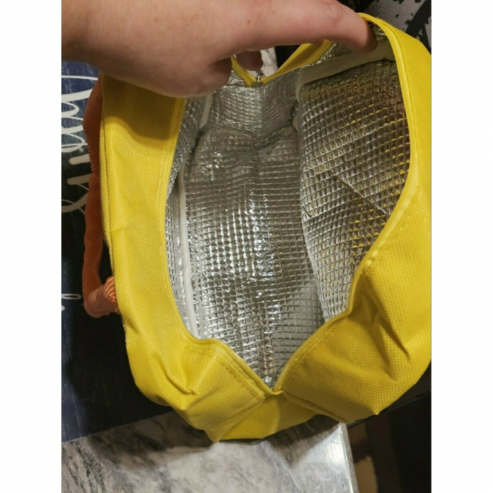 Geanta Termoizolanta pentru Copii, Flippy, 23x13x19 cm, Model Imprimeu Dinozaur, din Folie de Aluminiu si Panza Oxford, Albastru/Galben [3]