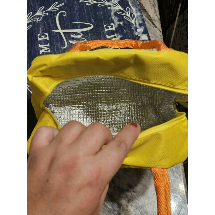 Geanta Termoizolanta pentru Copii, Flippy, 23x13x19 cm, Model Imprimeu Dinozaur, din Folie de Aluminiu si Panza Oxford, Albastru/Galben [4]