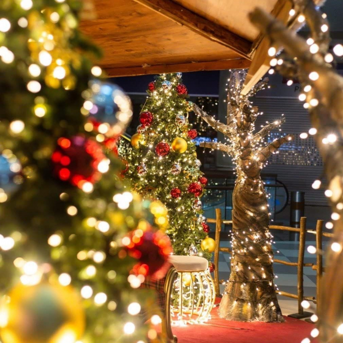 Instalatie de Craciun liniara Yoto, 24 m, din care 1 m cablu priza 220V, 300 LED, 8 jocuri de lumini, beculet in 6 colturi, pentru interior, controler, fir negru, alb cald [6]