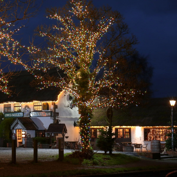 Instalatie de Craciun Liniara Yoto, 50 m, 1 m Prelungitor 220V, 498 LED, 8 Jocuri de Lumini, Controler, Fir Negru, Utilizare Interior/Exterior, Protectie anti-inghet, Fir Cupru, Multicolor [2]