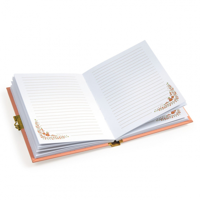 Jurnal secret Minico, Djeco [3]