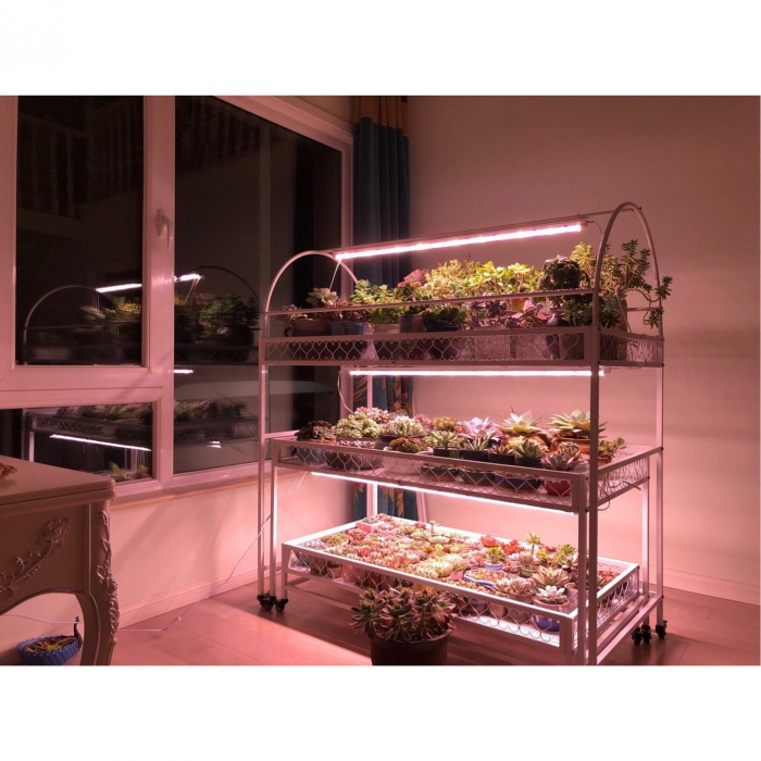Lampa dubla pentru cresterea plantelor Flippy, 50 cm, T5, tehnologie LED, nu afecteaza plantele, potrivit pentru intregul ciclu de crestere, lumina alb calda [4]