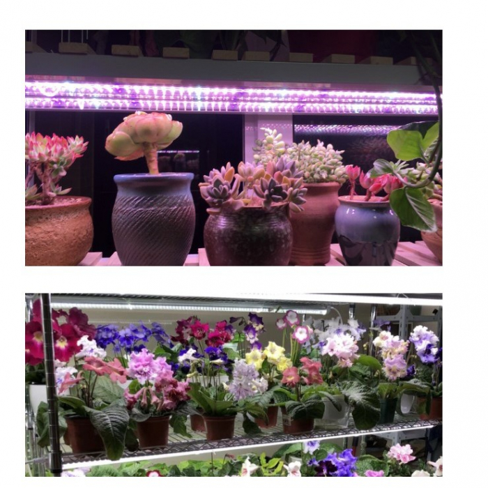 Lampa dubla pentru cresterea plantelor Flippy, 50 cm, T5, tehnologie LED, nu afecteaza plantele, potrivit pentru intregul ciclu de crestere, multicolor [4]