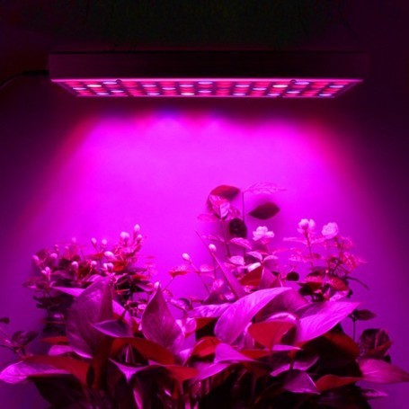 Lampa LED 45W Flippy, pentru cresterea plantelor in interior, 225 de leduri, 165 leduri rosii, 60 albastre, 30 x 30 cm, multicolor [9]