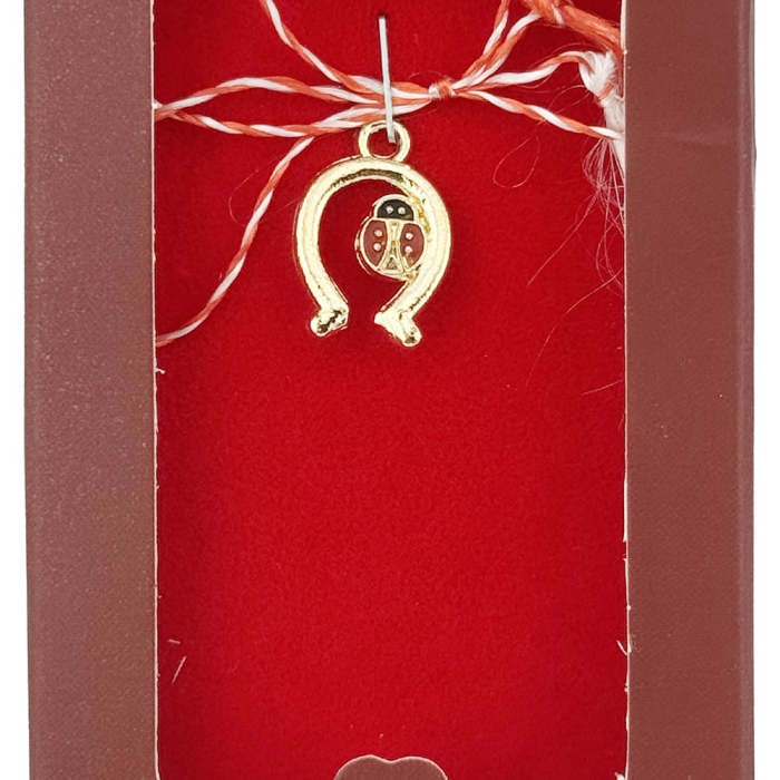 Martisor Pandantiv, Jolie, Drag de Primavara, Model Portcoava Buburuza, Rosu/Negru [2]