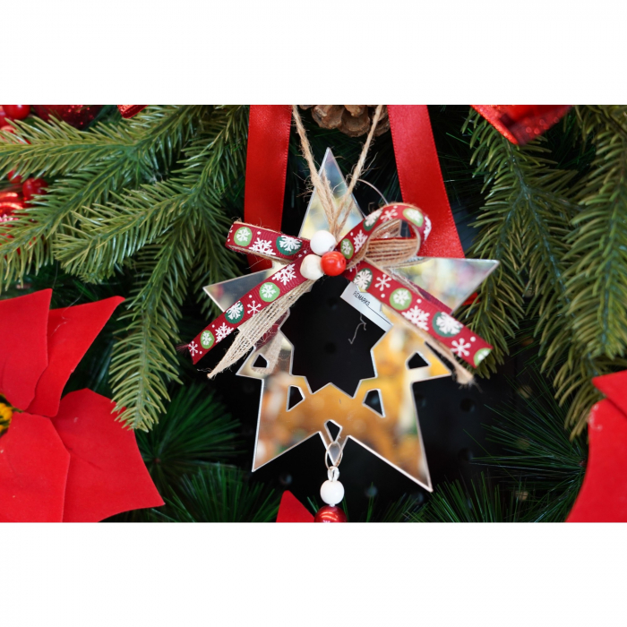 Ornament brad, Flippy, Stea, Argintiu, Lucios, 14*26CM, Acril, Interior/ Exterior [3]