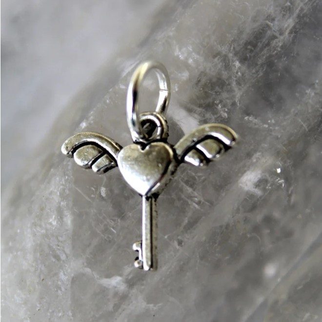 Pandantiv din Argint 925 Jolie Silver, Model Cheita cu Aripi, 13 x 17 mm, 1.1 g [6]