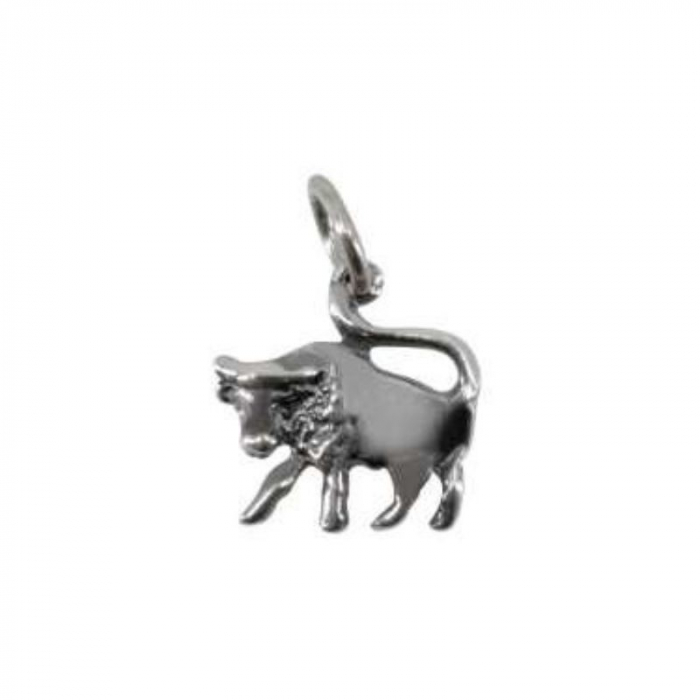Pandantiv din Argint 925 Jolie Silver, Zodia Taur, 18 x 18 mm, 1 g [3]