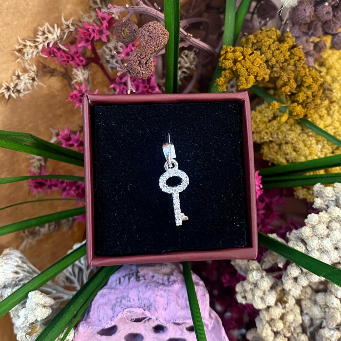 Pandantiv, Jolie Silver, Argint 925, Model Cheita Rodiata cu Pietre, 0.6 g, 15x7 mm [3]