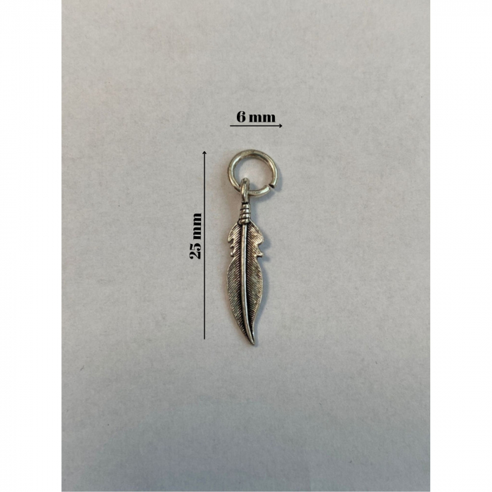 Pandantiv, Jolie Silver, Argint 925, Model Pana, 0.6 g, 25x6 mm [5]