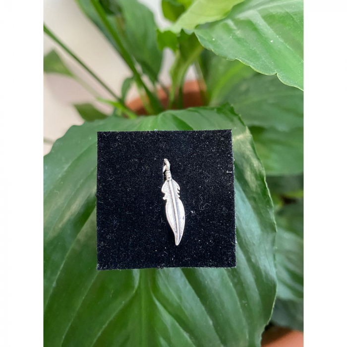 Pandantiv, Jolie Silver, Argint 925, Model Pana, 0.6 g, 25x6 mm [3]