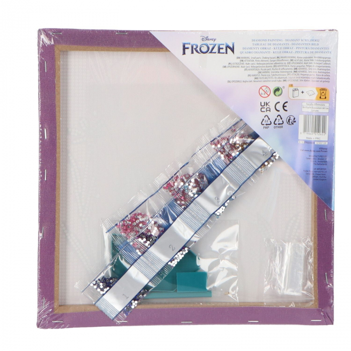 Pictura cu diamante, Frozen, 29 x 29 cm [2]
