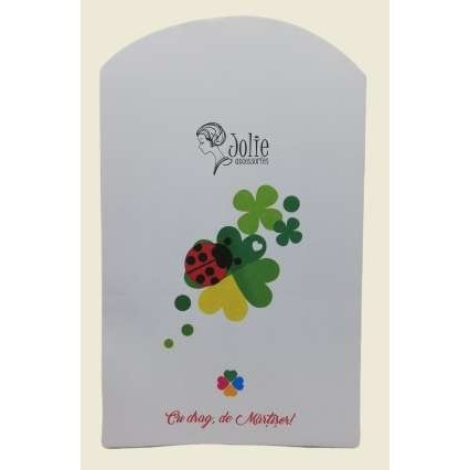 Plic Martisor [2]