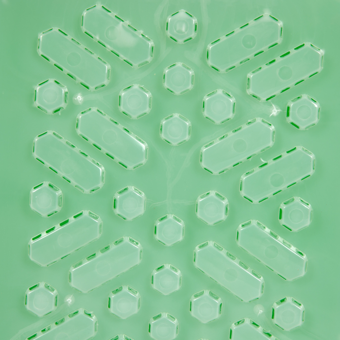 Lichidare Pompa de stropit cu acumulator, Micul Fermier 12L [21]