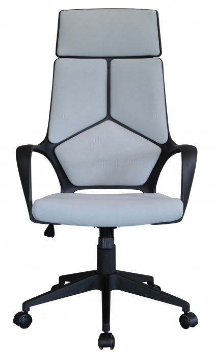 Scaun de birou directorial US86 Avantgarde, gri, 63x63x117-127 cm [3]