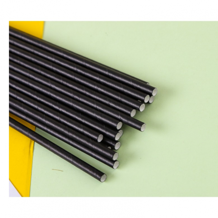 Set 100 paie din hartie 20 x 0.6 cm, negru [1]