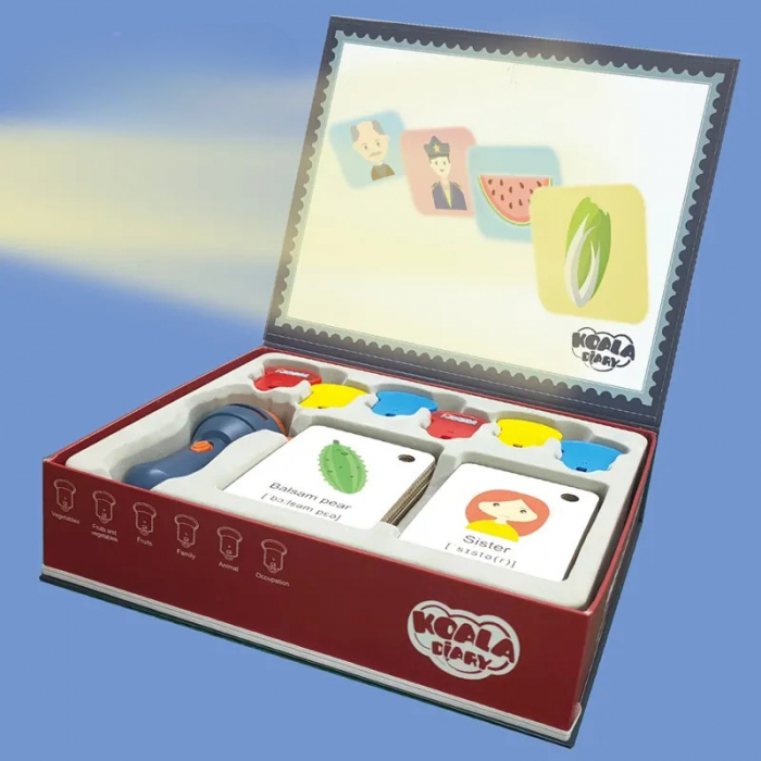 Set Jucarie Educativa, Flippy, Proiector Tip Lanterna Pentru Copii, 6 Teme, 48 de Imagini, Cutie Depozitare, +3 ani, Albastru [10]