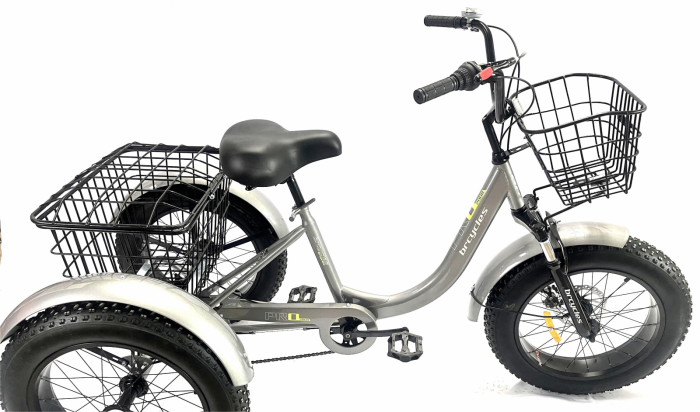 Tricicleta adulti,Fat cauciuc cu cos 20 inch Gri T2001 [3]