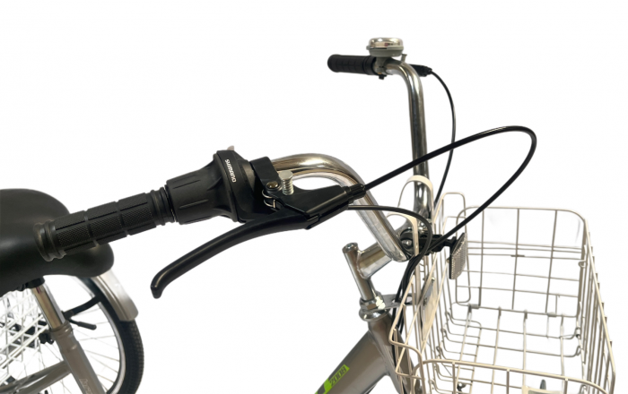 Tricicleta adulti, roti 24' Gri T2402 [6]