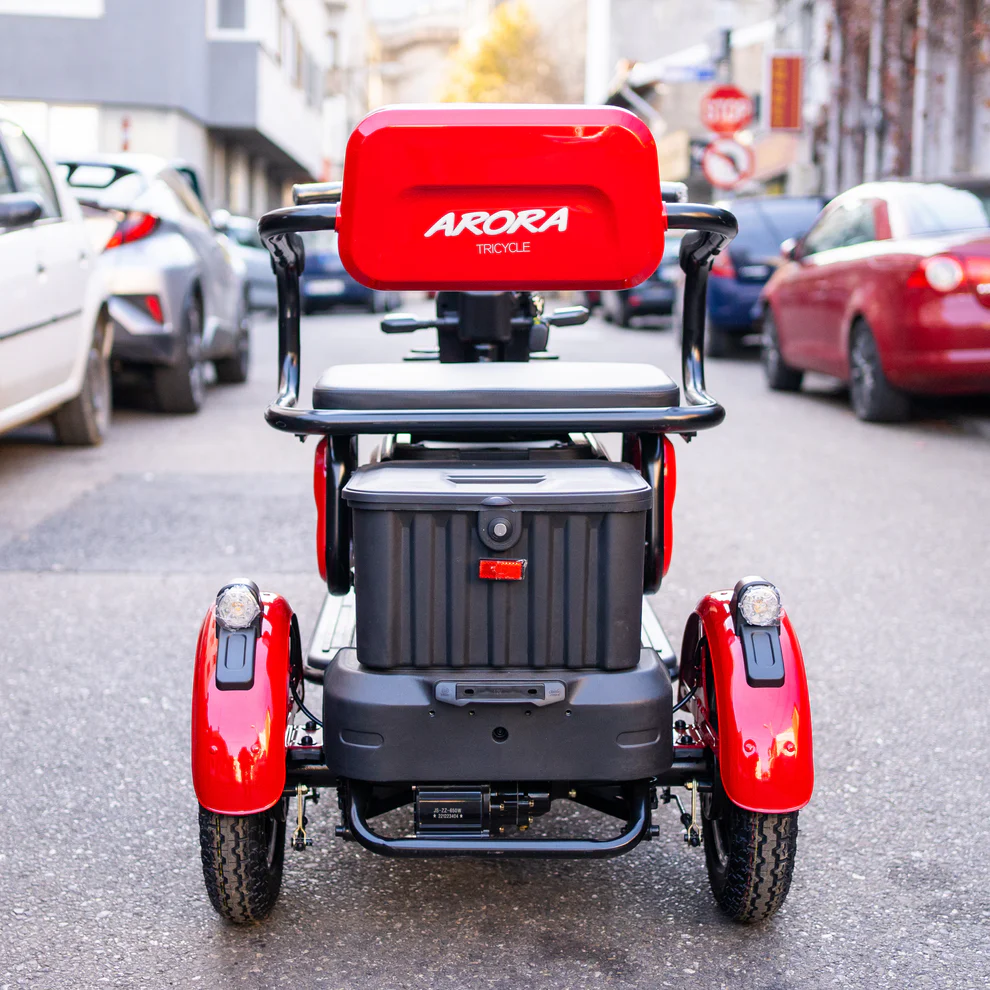 Tricicletă electrică RUZGAR ARORA 650W 60V 20Ah limitata 25km/h [3]