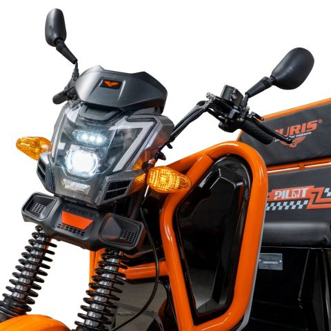 Triciclu Electric Cargo Ruris Pilot 3110N, 2000 W, autonomie 80 km, fara permis [7]