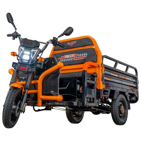 Triciclu Electric Cargo Ruris Pilot 3120N, 2000 W, autonomie 70 km, fara permis, bena basculabila [4]