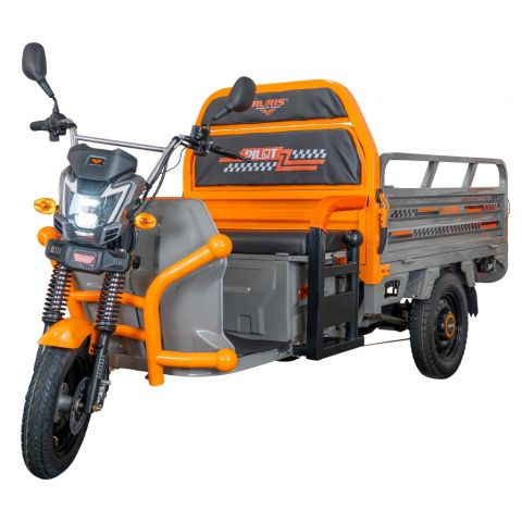 Triciclu Electric Cargo Ruris Pilot 3120G, 2000 W, autonomie 70 km, fara permis, bena basculabila [3]