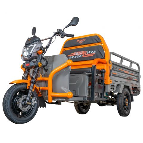 Triciclu Electric Cargo Ruris Pilot 3120G, 2000 W, autonomie 70 km, fara permis, bena basculabila [2]
