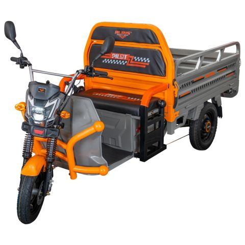 Triciclu Electric Cargo Ruris Pilot 3120G, 2000 W, autonomie 70 km, fara permis, bena basculabila [4]