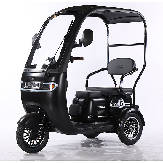Triciclu Electric RDB Panda 5, 650W, 60V20Ah, Fără permis [12]